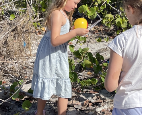 IMG 3616
