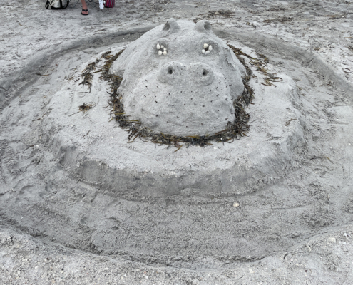 sand castle 2025 18