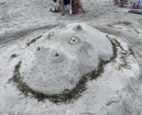 sand castle 2025 19