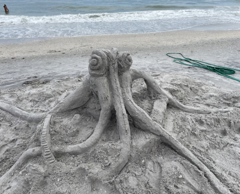 sand castle 2025 25