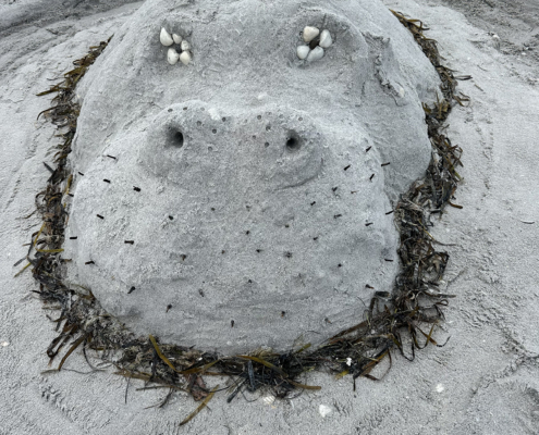 sand castle 2025 39