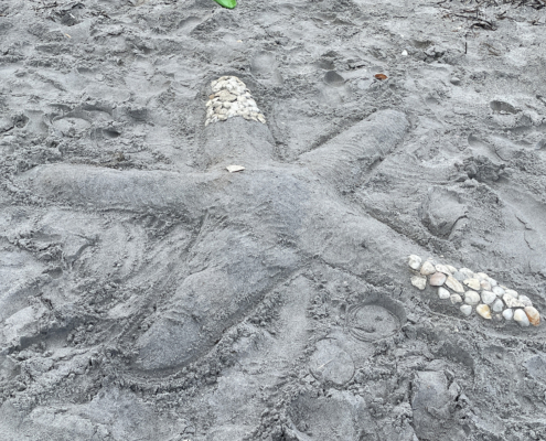 sand castle 2025 6