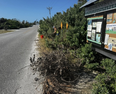 island clean up 03