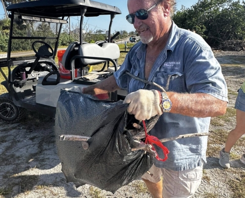 island clean up 06