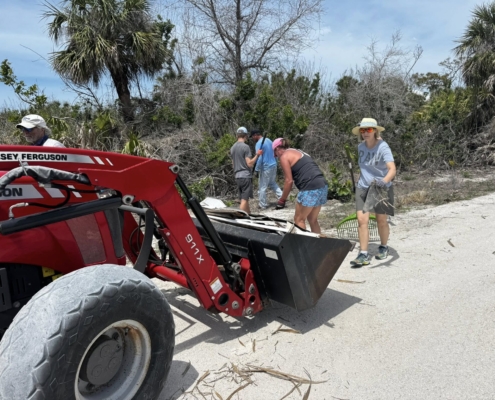 island clean up 07