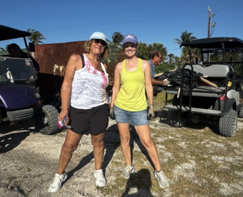 island clean up 10