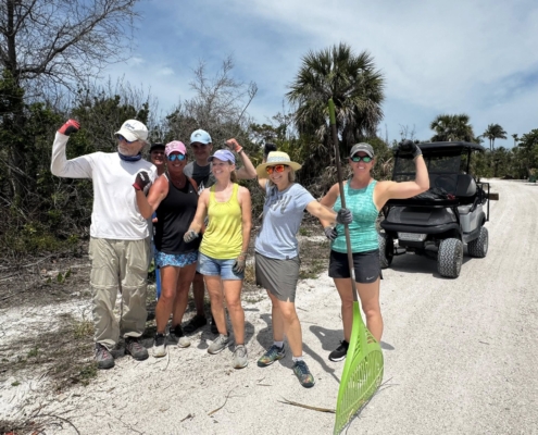 island clean up 11