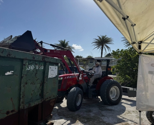 island clean up 13