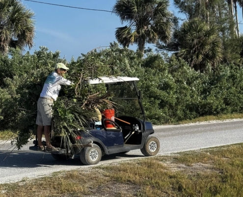 island clean up 15