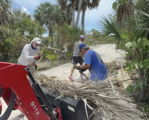 island clean up 16