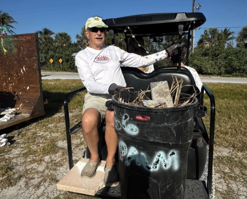 island clean up 20