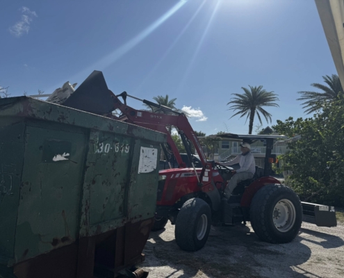 island clean up 24