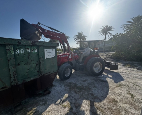 island clean up 26