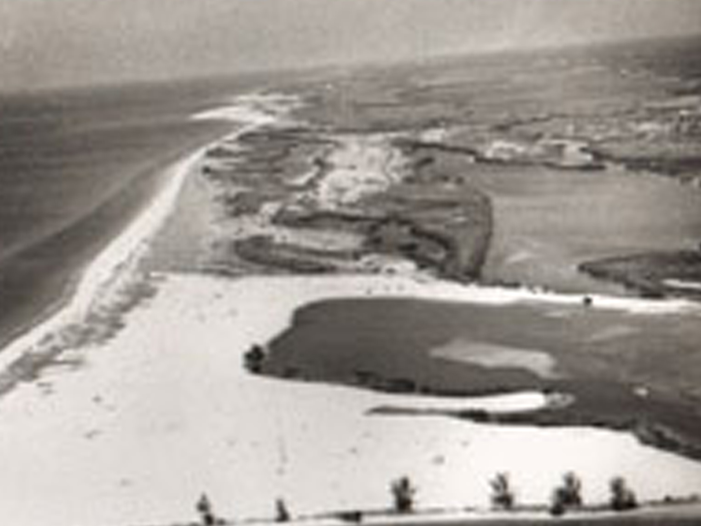 1930 Palm Island