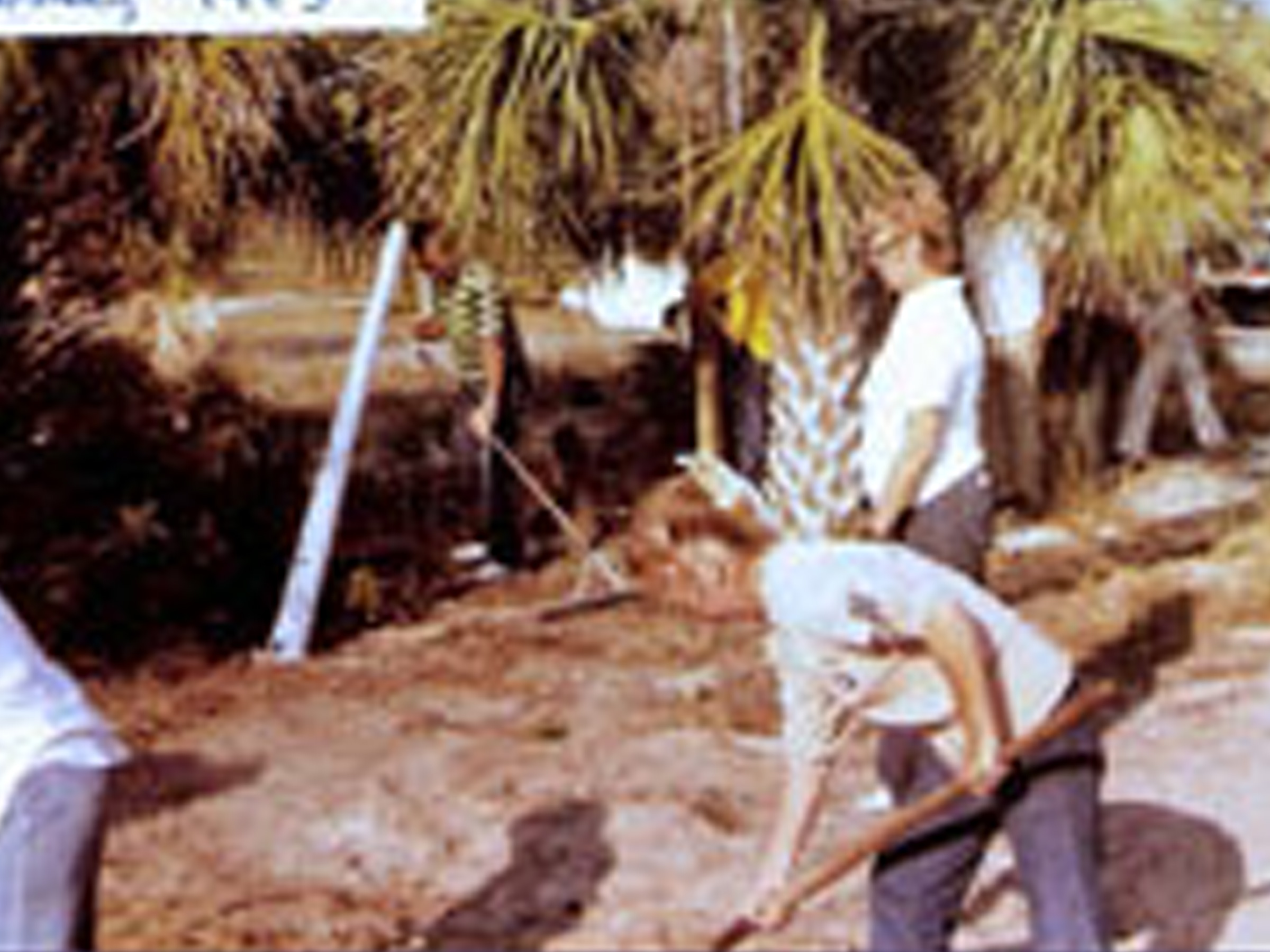 easement clean up